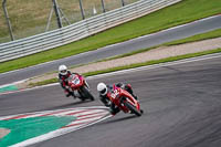 Advanced Group Red Bikes